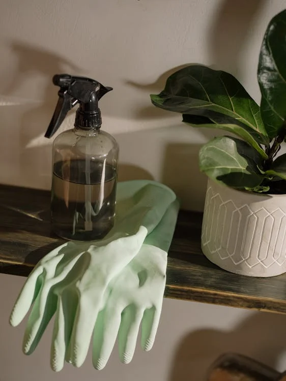 A spray bottle, a pair of green gloves, and a potted plant on a shelf.